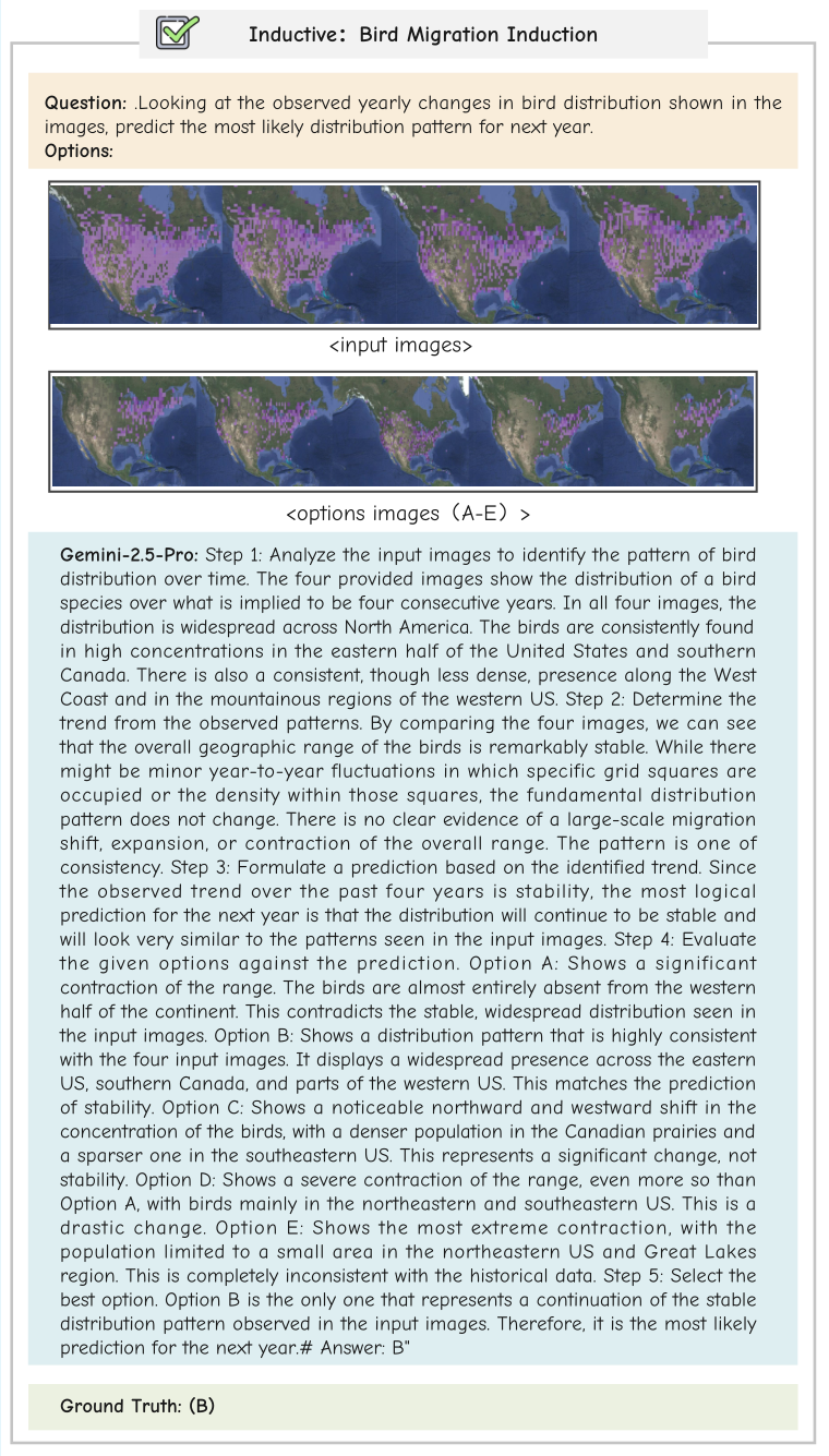 MMR-Life Correct Example 19