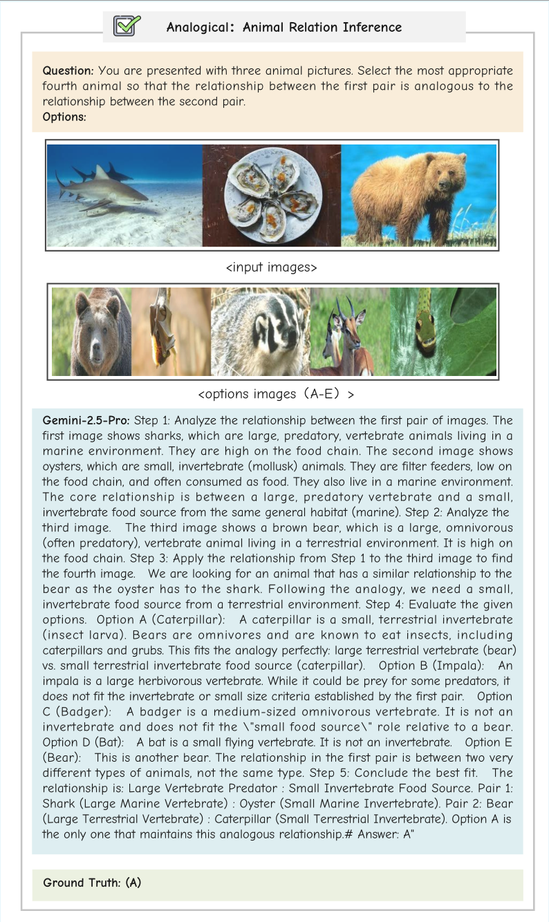 MMR-Life Correct Example 21