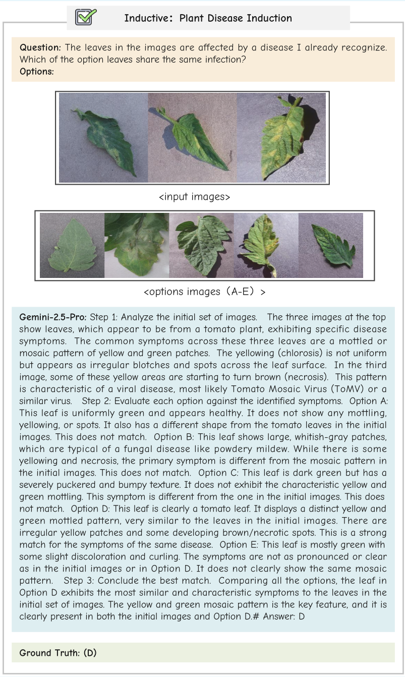 MMR-Life Correct Example 5